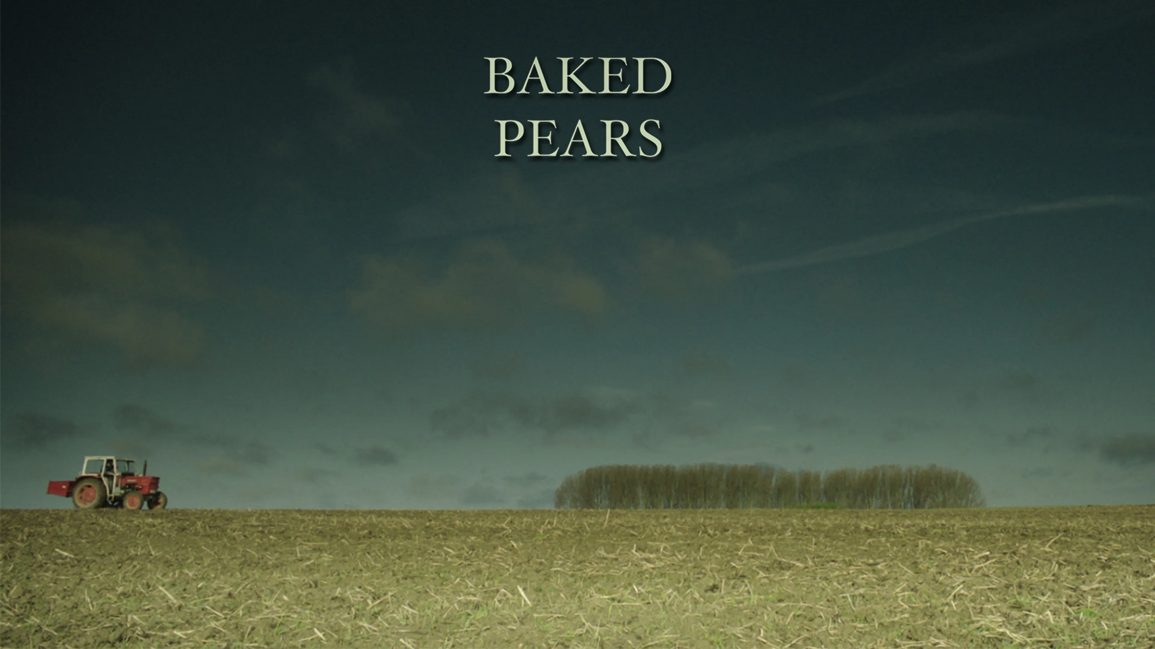 Baked Pears poster